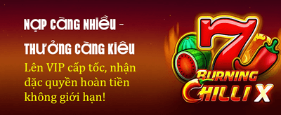 Đỉnh Cao Cá Cược Trực Tuyến